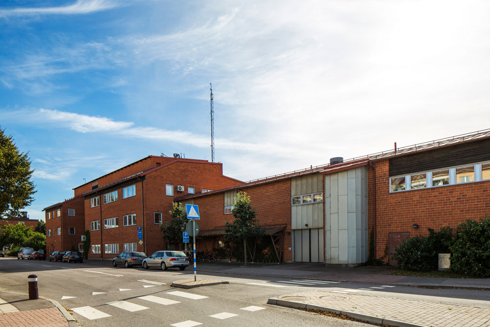 hjorten-